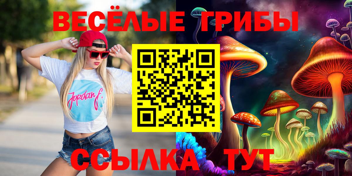 Сибай  Псилоцибиновые грибы мицелий  Вход с VPN 