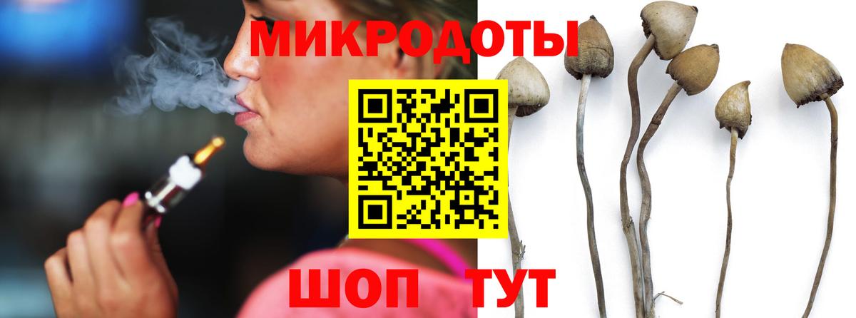 Псилоцибиновые грибы Psilocybe Сибай
